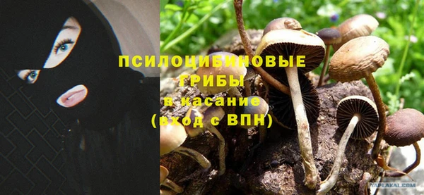 кокс Алексин