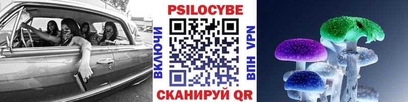 Псилоцибиновые грибы MAGIC MUSHROOMS  хочу наркоту  Йошкар-Ола 